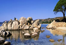 PG在线网站-拜仁慕尼黑前锋近期状态异常火爆，成为球队得分王