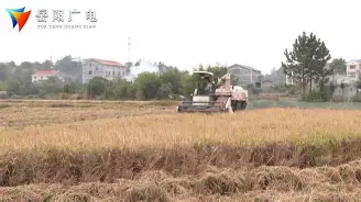 PG电子官方-北威尔士连胜捧起丰收，落败卡赞