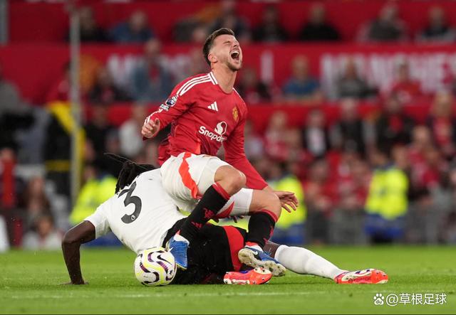 PG电子官方-富勒姆客场失利狼队，未能取得分数